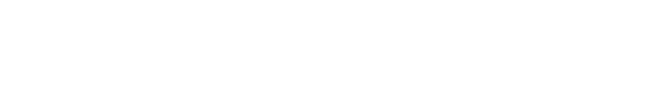 Reporting Maximizer